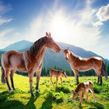TERRA BY BATTAT - 4 Pcs Horse Toys - Realistic Horse Figurines - Plastic Animal Family Set - Farm To...
