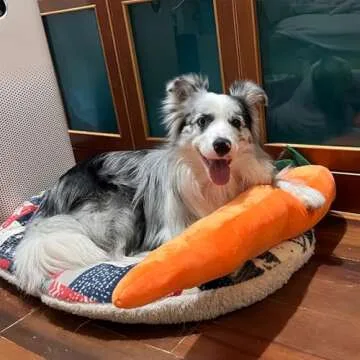 Mellow Dog Calming Carrot Plush Toy for Stress Relief and Fun