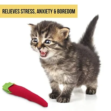 Charming Cosmic OurPets Chili Cat Toy for Playful Cats