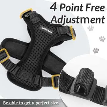 rabbitgoo Cat Harness and Leash for Safe Walking