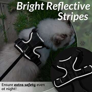 rabbitgoo Cat Harness and Leash for Safe Walking