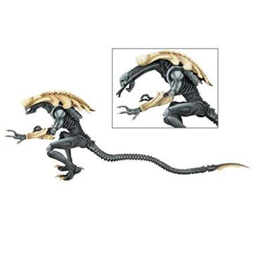 NECA - Aliens vs Predator (Arcade Appearance) - 7" Scale Action Figures - Chrysalis