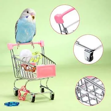 Colorful Bird Toy Play Set for Parrots and Small Pets