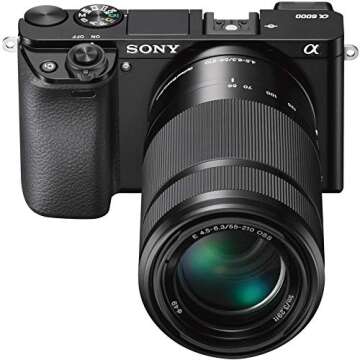 Sony Alpha a6000 Mirrorless Digital Camera with 16-50mm Lens Bundle with 55-210mm Zoom E-Mount Lens, 500mm Preset Telephoto Lens, 64GB Card and Accessories (19 Items)