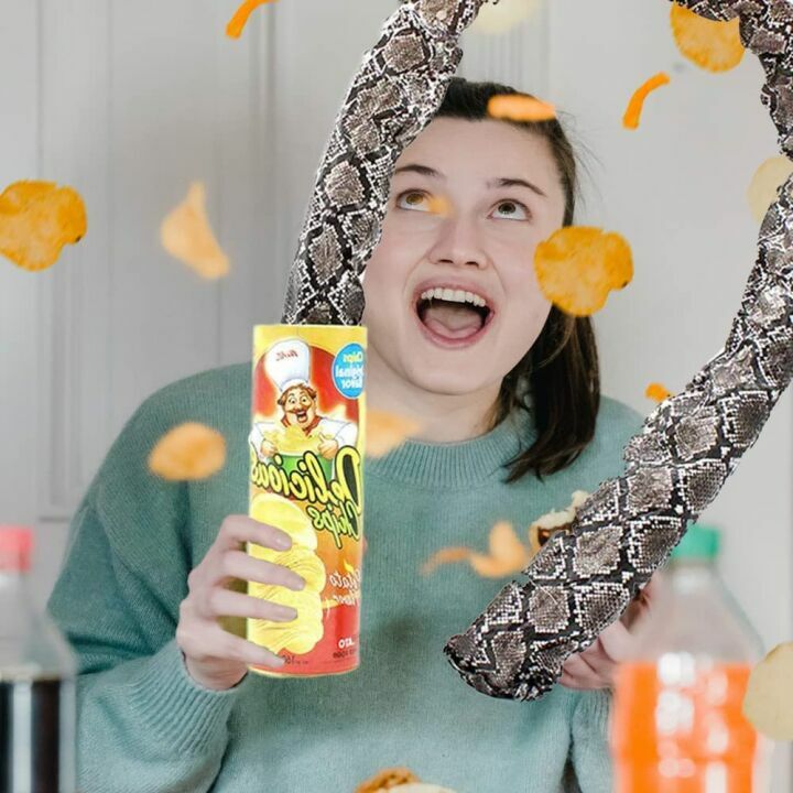 LCKLA Realistic Prank Kit - Snakes & Roaches for Fun