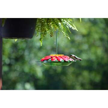 Nature's Way Bird Products WW3DHF3 Real 3D Flower Hummingbird Feeder, Red