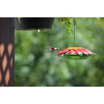 Nature's Way 3D Flower Hummingbird Feeder Red