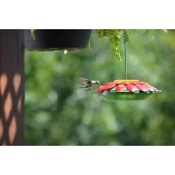Nature's Way 3D Flower Hummingbird Feeder Red