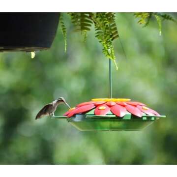 Nature's Way Bird Products WW3DHF3 Real 3D Flower Hummingbird Feeder, Red
