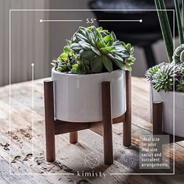 kimisty 5 inch Plant Pot Set of 3 - Round Succulent Flower Planter with Wood Stand, Saucer, Drainage, Indoor Use (Plants Not Included)