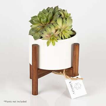 kimisty 5 inch Plant Pot Set of 3 - Round Succulent Flower Planter with Wood Stand, Saucer, Drainage, Indoor Use (Plants Not Included)