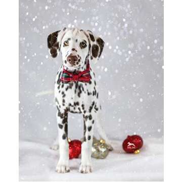 Unique style paws Christmas Dog and Cat Collar with Bow Pet Gift Adjustable Soft and Comfy Bowtie Collars for Small Medium Large Dogs