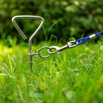 BINGPET Dog Tie Out Cable & Stake for Safe Outdoor Fun