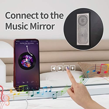 Fenair Vanity Mirror with Lights and Bluetooth Speaker