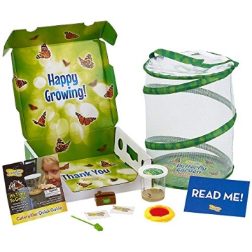 Insect Lore Butterfly Garden Live Caterpillar Kit