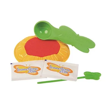 Insect Lore Butterfly Garden Live Caterpillar Kit