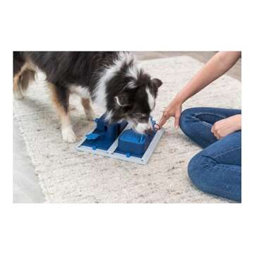 TRIXIE Poker Box 2: Interactive Level 3 Dog Puzzle Toy for Small to Medium Dogs