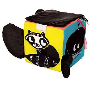 Manhattan Toy Wimmer-Ferguson Learning Cube Infant Developmental Toy