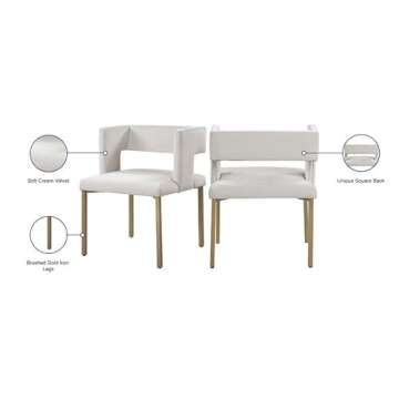 Meridian Furniture Modern Velvet Dining Chairs Set of 2