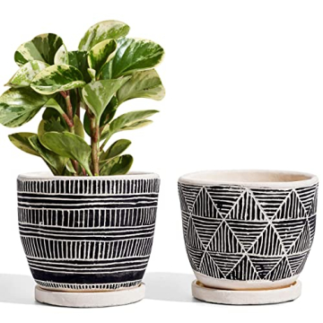 LE TAUCI 5.5 Inch Boho Plant Pots Set of 2 - Artisanal Cement Indoor Planters