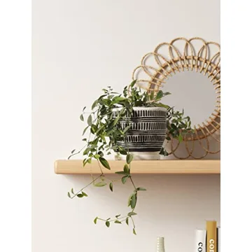 LE TAUCI Boho Plant Pots for Indoor Plants Set of 2