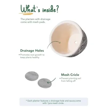 LE TAUCI Boho Plant Pots for Indoor Plants Set of 2