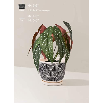 LE TAUCI Boho Plant Pots for Indoor Plants Set of 2