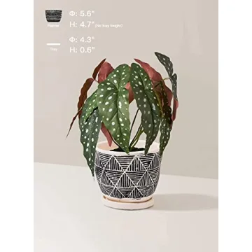 LE TAUCI Boho Plant Pots for Indoor Plants Set of 2