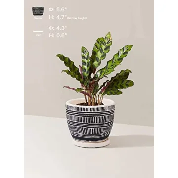 LE TAUCI Boho Plant Pots for Indoor Plants Set of 2