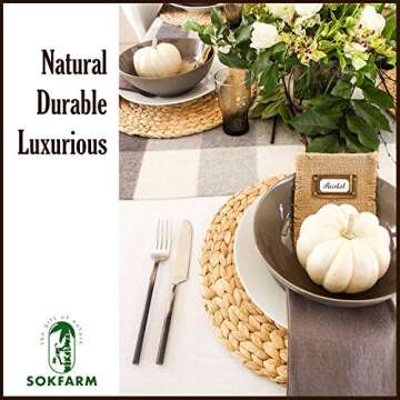 Elegant Boho Placemats Set of 4 for Dining Table