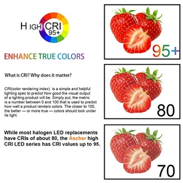 Ascher Vintage LED Edison Bulbs with 95+ CRI and 2700K Glow