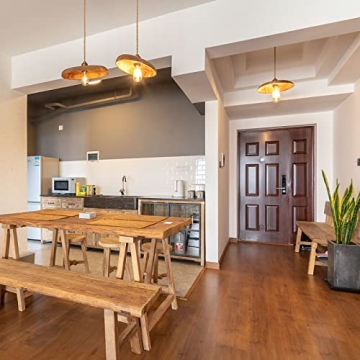 Ascher Vintage LED Edison Bulbs with 95+ CRI and 2700K Glow