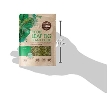 Fiddle Leaf Fig Tree Fertilizer Beads for Healthy Growth