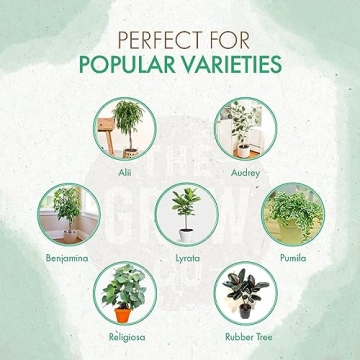 Fiddle Leaf Fig Tree Fertilizer Beads for Healthy Growth