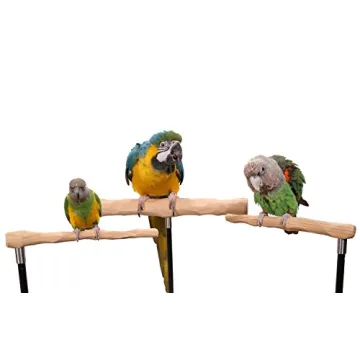 Adjustable Parrot Training Perch Kit for Flying Tricks
