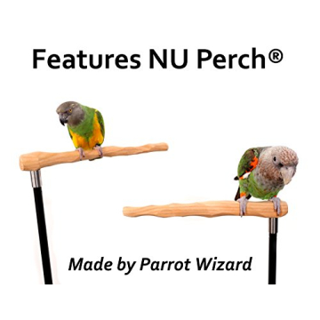 Adjustable Parrot Training Perch Kit for Flying Tricks