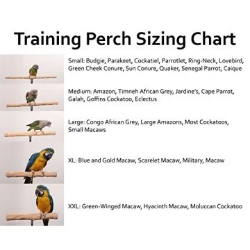 Adjustable Parrot Training Perch Kit for Flying Tricks