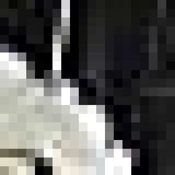 Moody Cow Hoodie for Women - Cute & Stylish Pullover