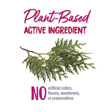 Boiron Thuja Occidentalis 30C Wart Removal Homeopathic Medicine for Painless Removal of Warts from Plantar (Feet), Hands, and Other Bodily Warts -80 Count (Pack of 3)