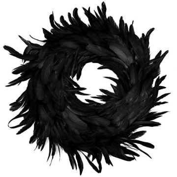 JOYIN Natural Feathers Wreath 13.5" in Black for Halloween Decorations, Spooky Scene Party Favors, H...