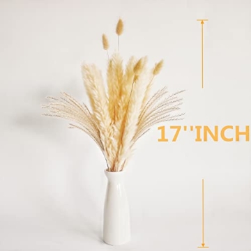 Natural Dried Pampas Grass Decor for Elegant Home Accent