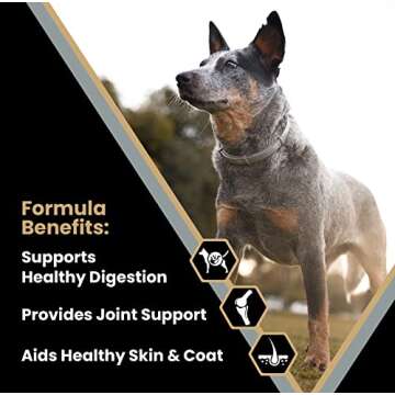 VICTOR Super Premium Healthy Weight Dog Food for Seniors - 40lbs - Gluten Free & Joint Support