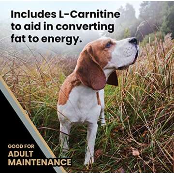 Senior Healthy Weight Dry Dog Food - Gluten Free 40lbs