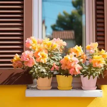 Bchjatk Colorful 3.8" Flower Pots for Indoor Gardening