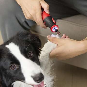 POPULO 8V Cordless Rotary Tool Kit, 5 Variable Speeds, Max Load Speed up to 25000 RPM, Powerful Engraver, Sander, Polisher, 114 Easy Change Accessories and Shield,Craft Tool for Handmade and DIY