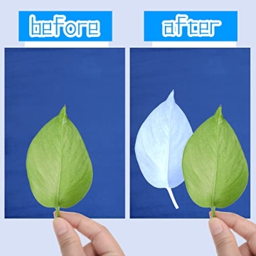 Eersida 60 Sheets Sun Print Paper Kit - Cyanotype Art