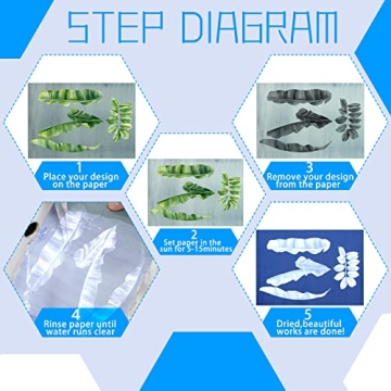 Eersida 60 Sheets Sun Print Paper Kit - Cyanotype Art