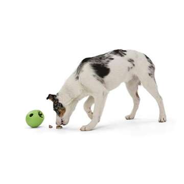 WEST PAW Zogoflex Rumbl Treat-Dispensing Dog Toy – Interactive Slow-Feeder Chew Toy for Dogs – Dog Enrichment Toy – for Moderate Chewers, Fetch, Catch – Holds Kibble, Treats (Jungle Green, Small)
