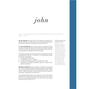 CSB She Reads Truth Bible, Gray Linen Cloth Over Board, Indexed, Black Letter, Full Color Design, Wide Margins, Notetaking Space, Devotionals, Reading Plans, Easy to Read Bible Serif Type