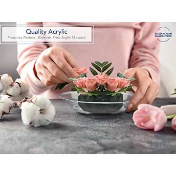 Royal Imports 10" Clear Plastic Saucer Plant Drip Tray, Deep Pie Plate, Floral Flower Dish, Wedding, Party, Home and Holiday Decor, 6 Pack